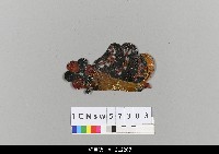 藏品(中國湖北皮影戲盔帽)的圖片